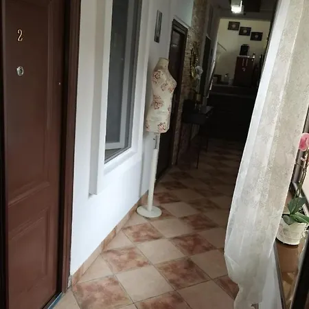 In Tmisoara *