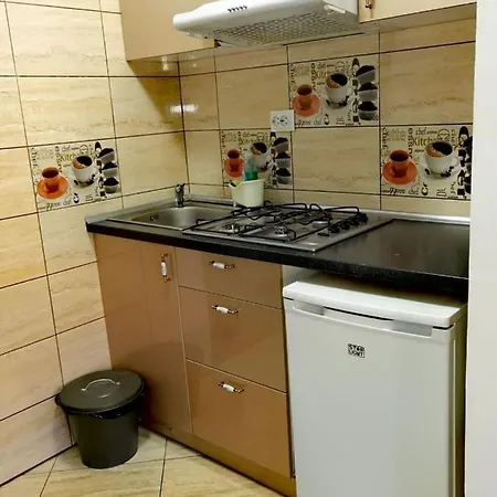 דירה In Tmisoara