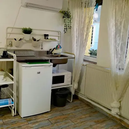 Apartment In Tmisoara