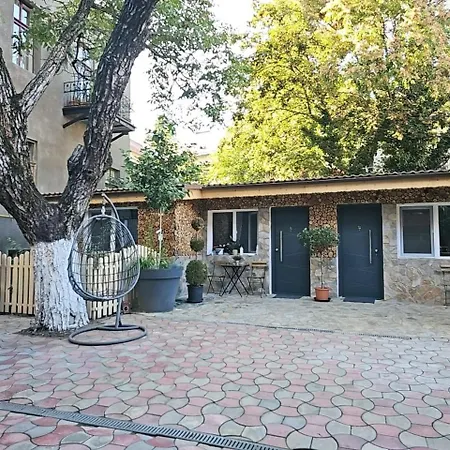 In Tmisoara * 蒂米什瓦拉