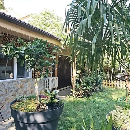 In Tmisoara تيميشورا