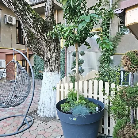 In Tmisoara 公寓 蒂米什瓦拉
