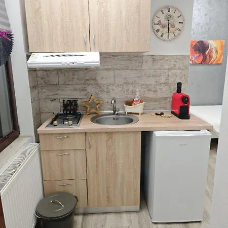 Apartment In Tmisoara *