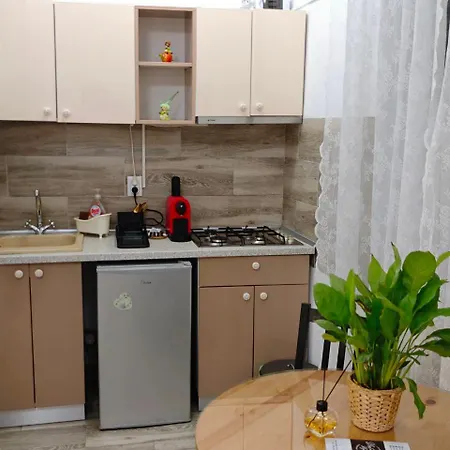 Apartment In Tmisoara *