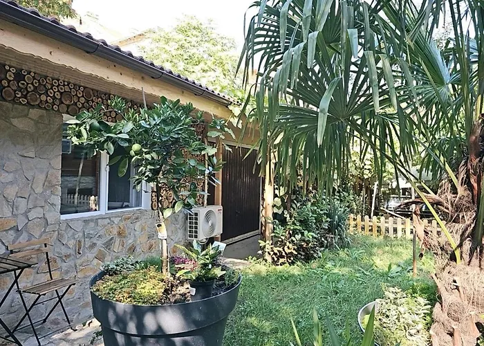 In Tmisoara Timisoara