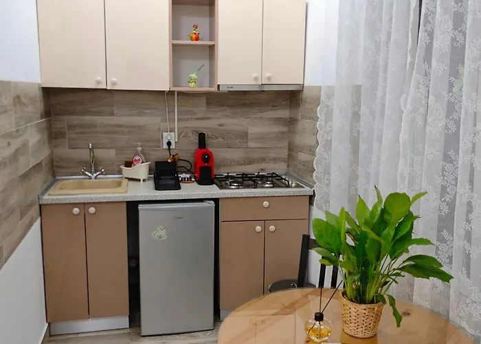 Appartamento In Tmisoara *