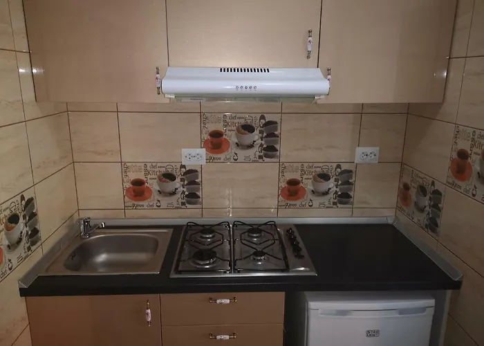 Appartamento In Tmisoara *