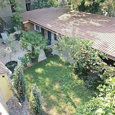 In Tmisoara