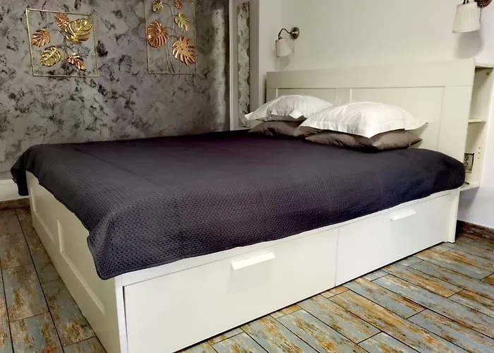 Appartement In Tmisoara Timişoara