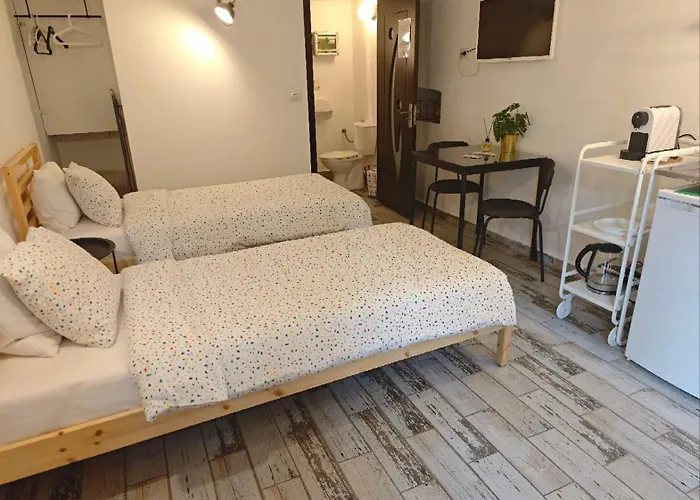 Appartement In Tmisoara Timişoara