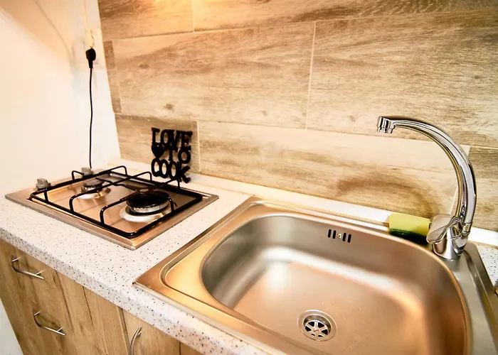 Appartement In Tmisoara *